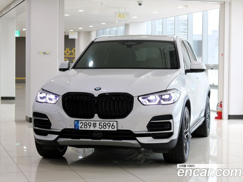 BMW X5 (G05) xDrive 30d xLine (01.2023)