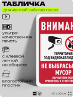 Табличка для частной территории "Внимание, не выбрасывать мусор", на дом, для участка, организаций и частных территорий, предупреждающая, 40х30 см, Silver Plane x Айдентика Технолоджи