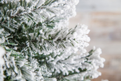 Ель 305см Black Box Атлантида заснеженная