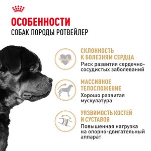 Сухой корм Royal Canin Rottweiler Adult для взрослых собак породы Ротвейлер от 18 месяцев