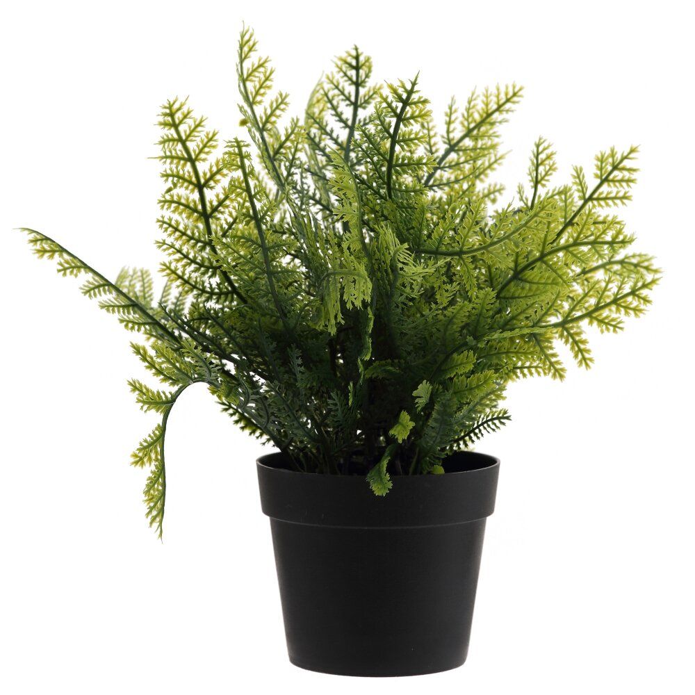 GAEM Цветочная композиция, L23 W23 H25 см