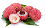 Бальзам для губ Vaadi Herbals Lychee Lip Therapy Личи 6 г