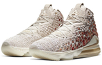 Кроссовки Nike Lebron 17 Win Win