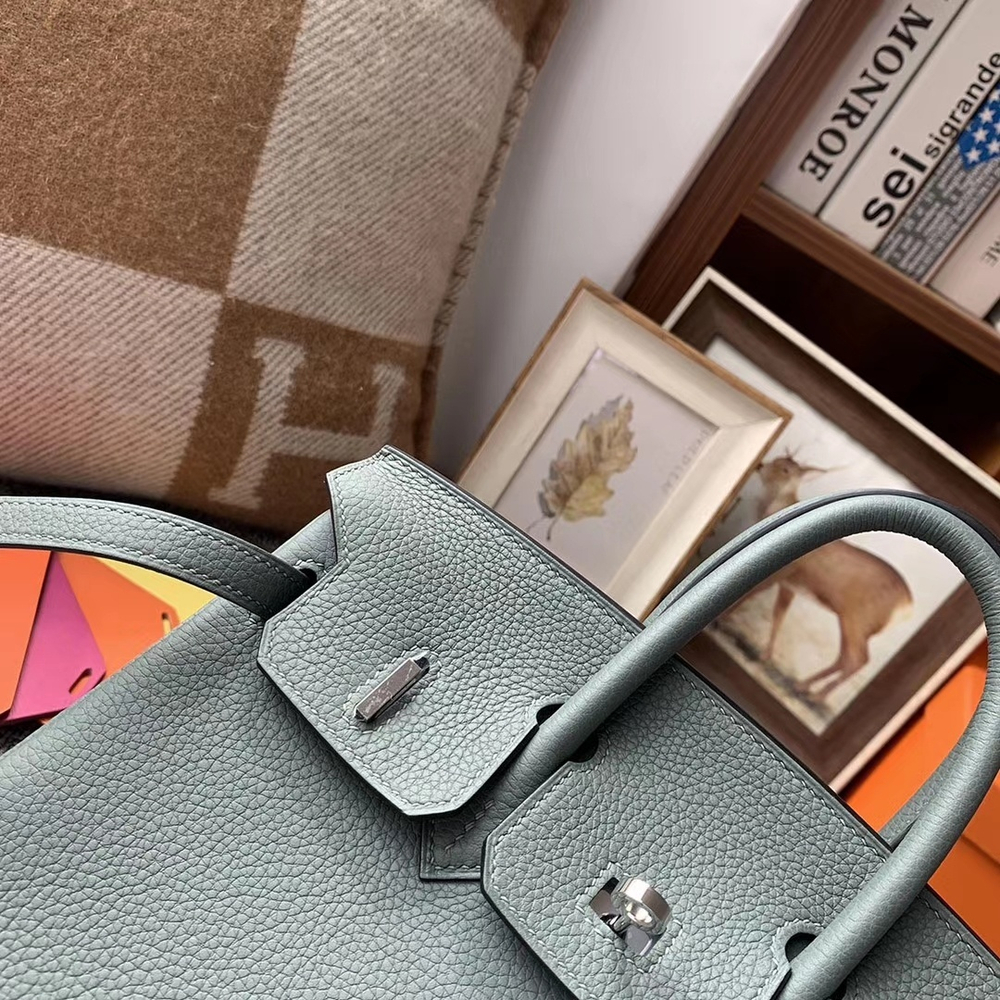 Hermes Birkin 25