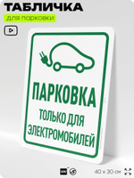 Табличка для парковки "Парковка только для электромобилей", для дома, офиса, организаций, 40х30 см, Silver Plane x Айдентика Технолоджи