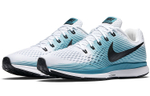 Nike Air Zoom Pegasus 34 Blustery
