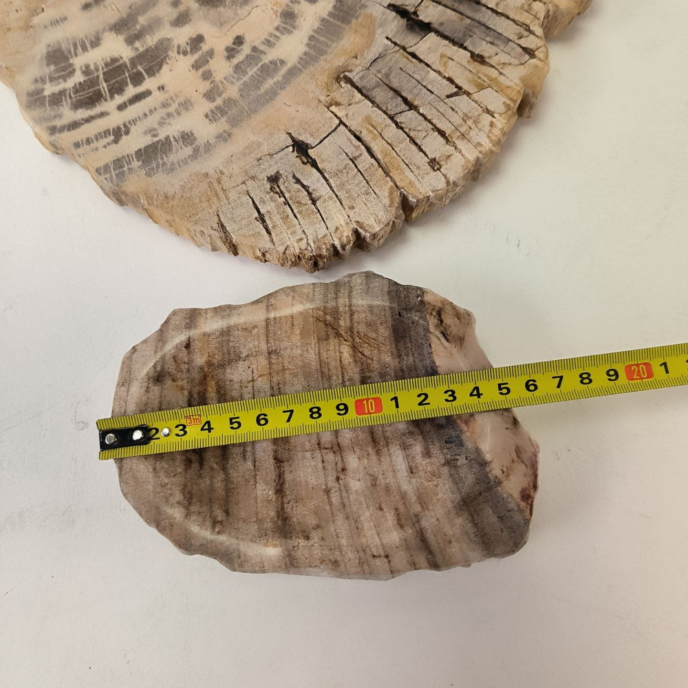 Набор из окаменелого дерева 4 предм Fossil Set NF-63284 поднос 149