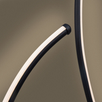 Напольный светильник (торшер) Freya FR6103FL-L50B