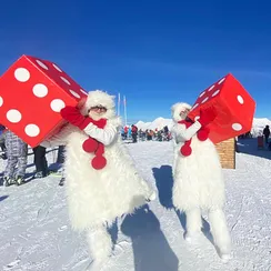 Кости кубики