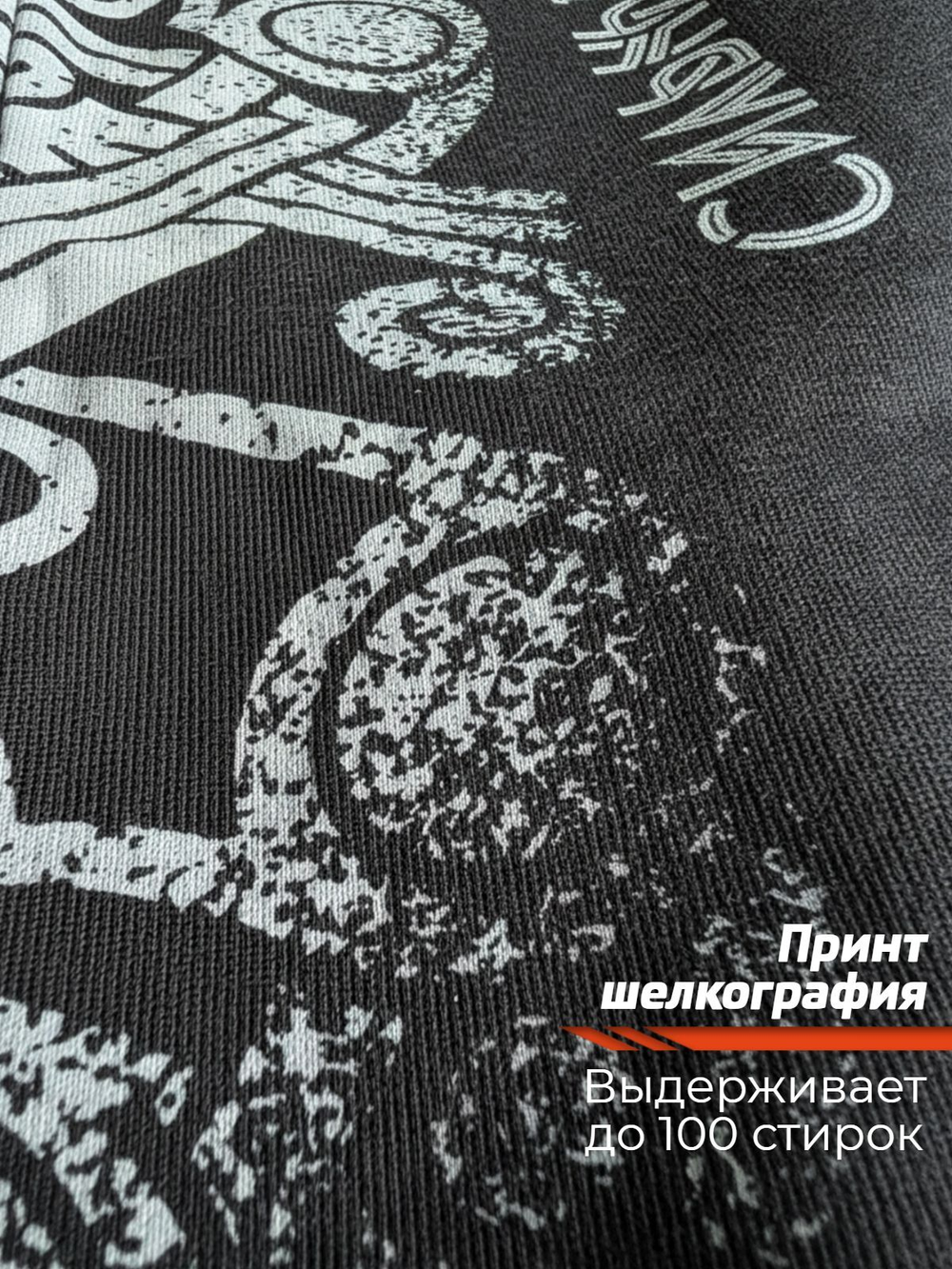 Костюм спортивный с начесом мужской LEGENDA Варяг черный