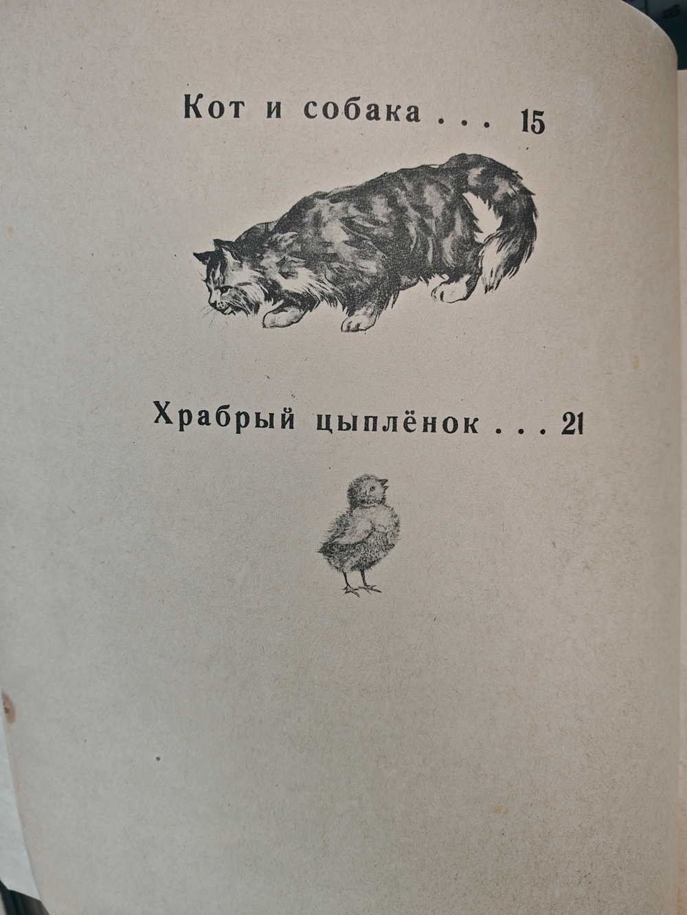 Кот и собака