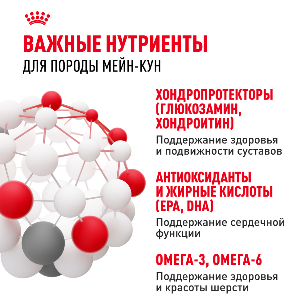 Сухой корм Royal Canin Maine Coon Adult для взрослых кошек породы Мэйн Кун 10кг