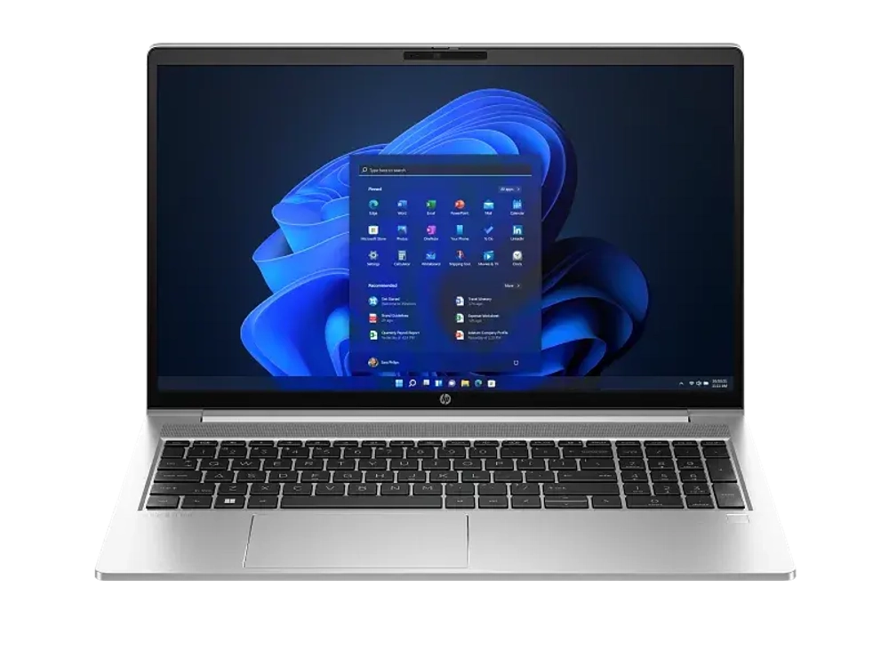 Ноутбук HP ProBook 450 G10 (85B02EA)