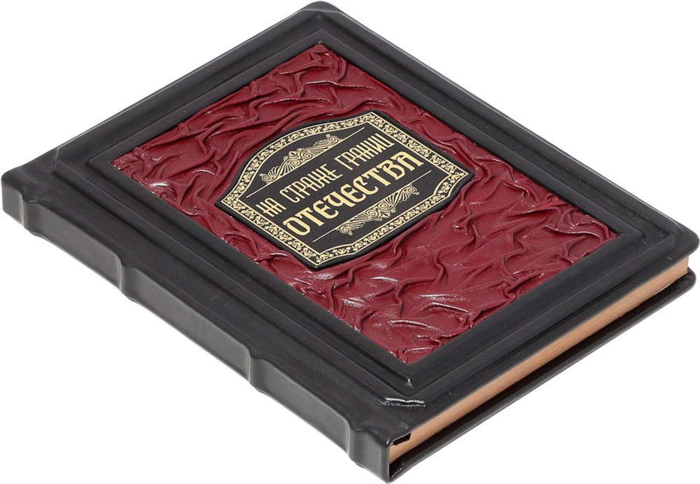 На страже границ Отечества. 100 лет пограничной службе ФСБ России