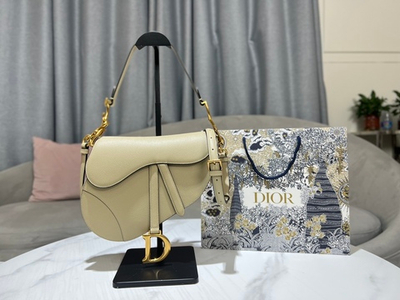 Christian Dior Saddle 25 cm