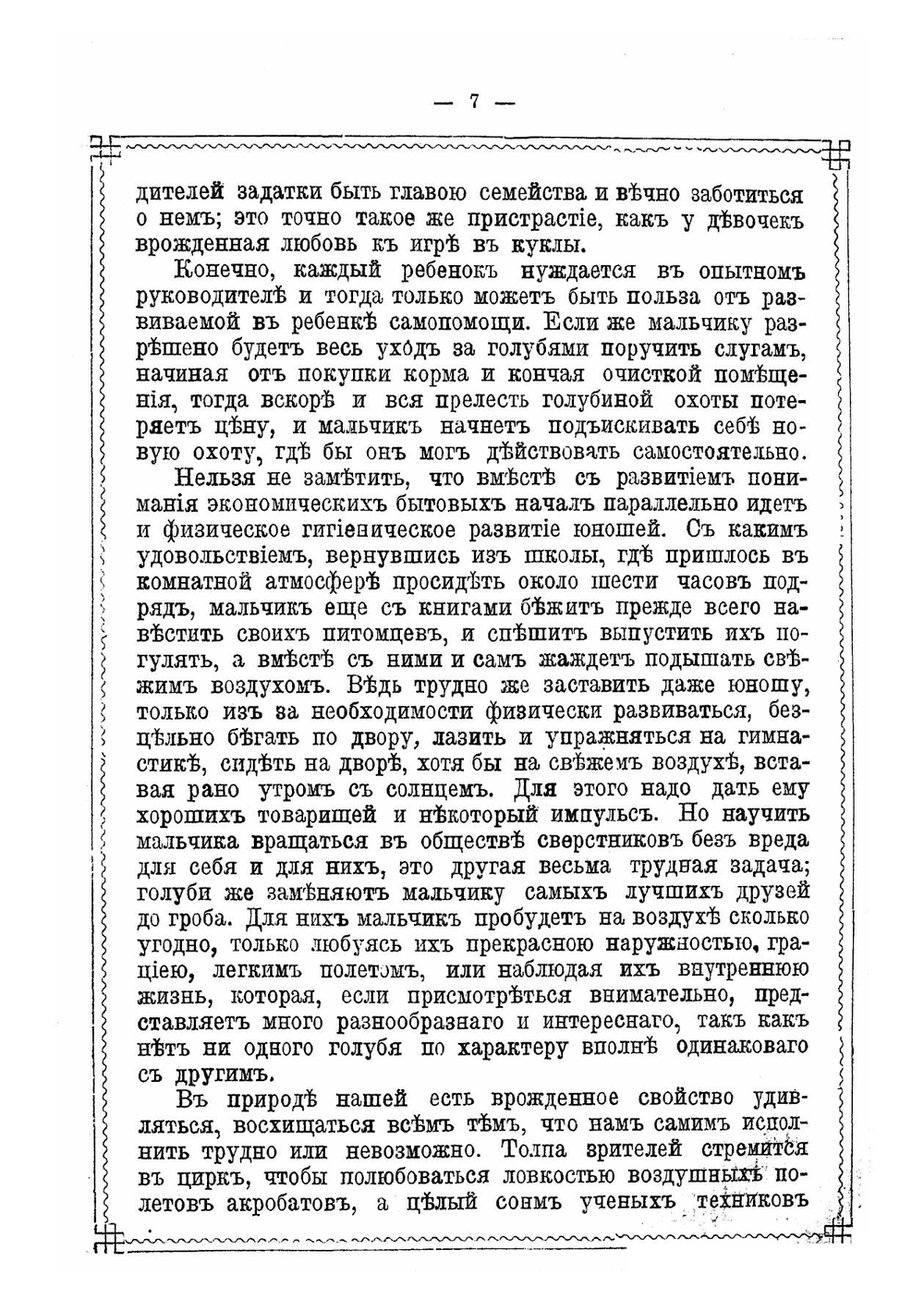 Голубиный охотник | Пальцев Василий Михайлович