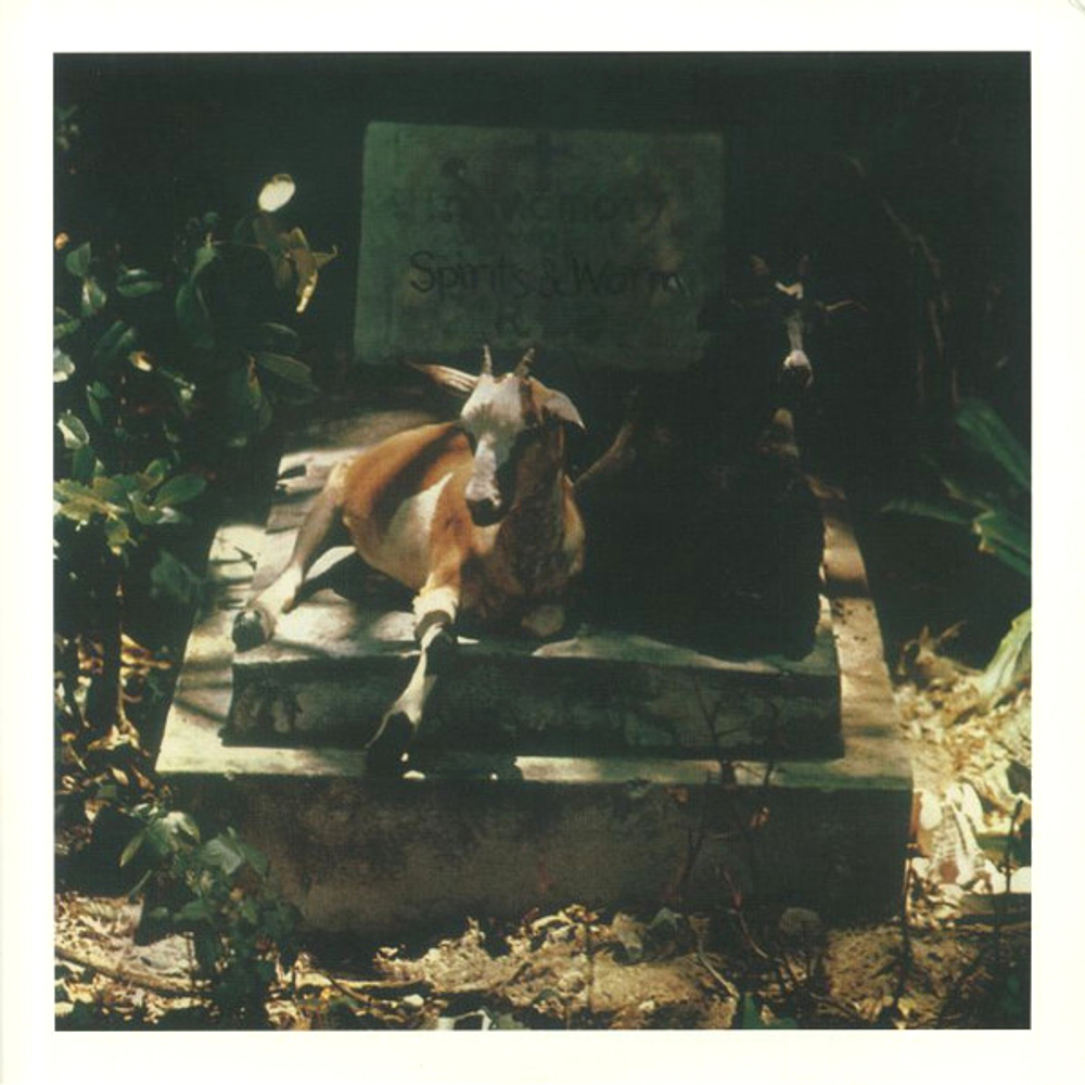 Spirits & Worm / Spirits & Worm (LP)