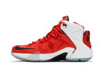 Кроссовки Nike Lebron 12 Heart Of A Lion 12