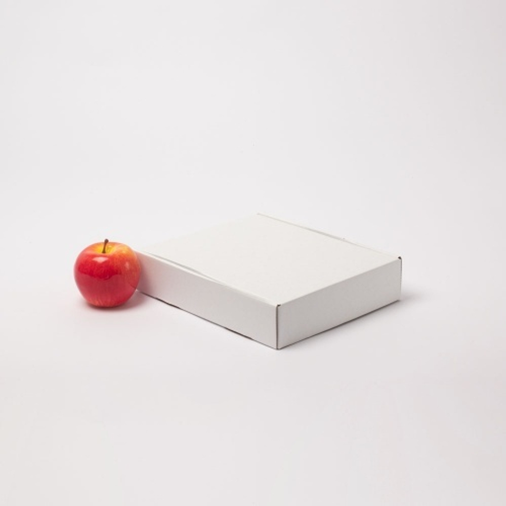 Коробка 20x5x25 самосборная с откидной крышкой, белый, Т11Е бел/бур, без печати, белый