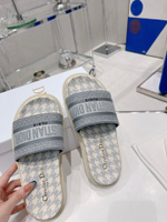 Christian Dior Dway Slide