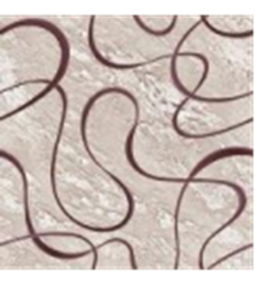 Принт 5-Ти Цветная Дорожка p1707a5r 93 Рулон