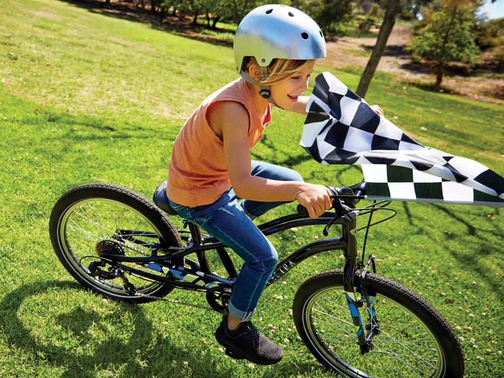 Детский велосипед Electra Sprocket Boys 7D EQ (2024)