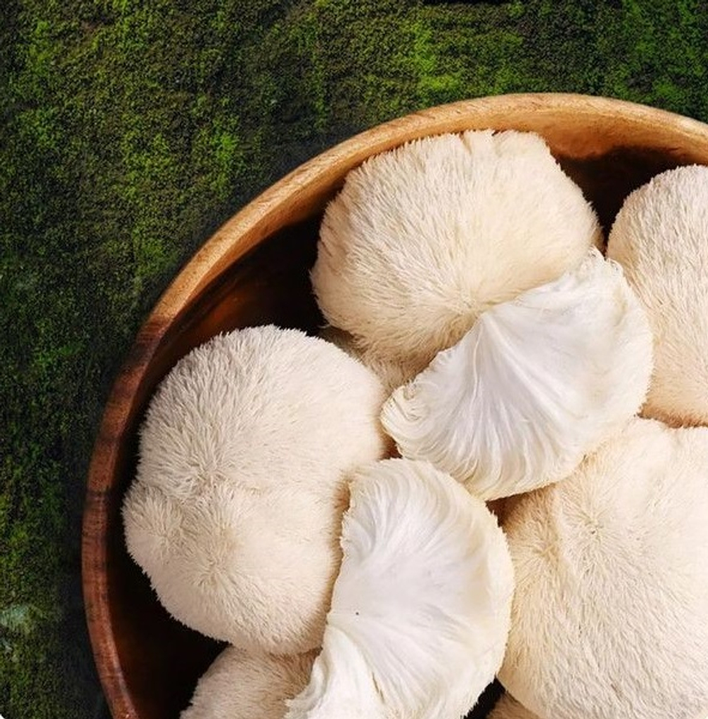 Ежовик гребенчатый (микс)