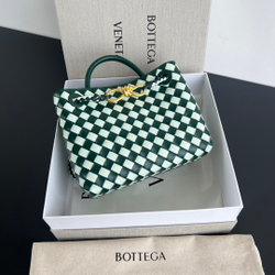 Bottega Veneta Small Andiamo 25 cm