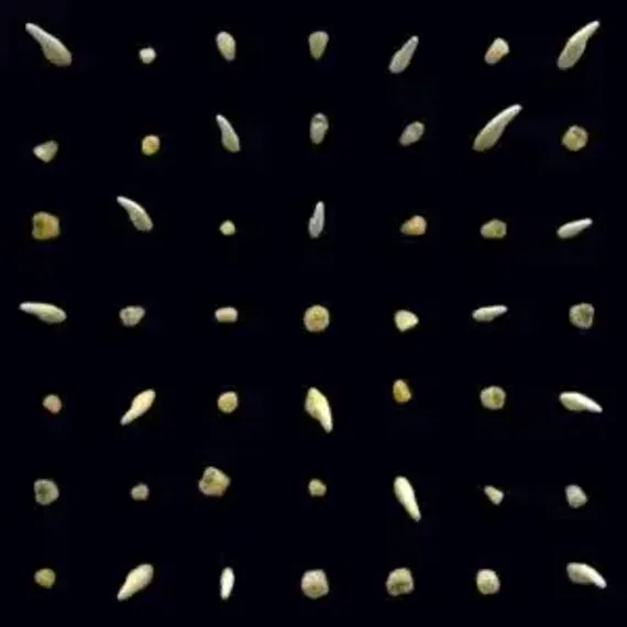 Clipping. – Visions Of Bodies Being Burned 2LP