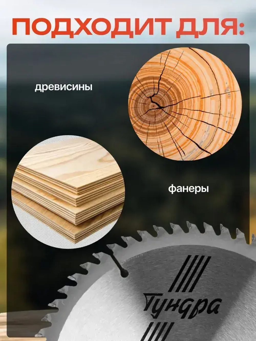 Диск пильный по дереву Тундра, точный рез, 200 х 32 мм (кольца на 22,20,16), 60 зубьев