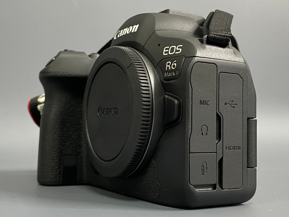 Canon EOS R6 Mark II 1000 кадров