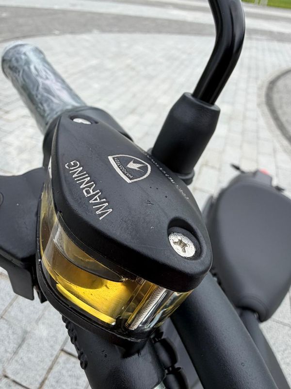 Электроскутер Mangosteen M1P 60V2000W30A (В НАЛИЧИИ)
