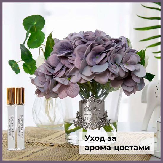 Как ухаживать за арома-цветами
