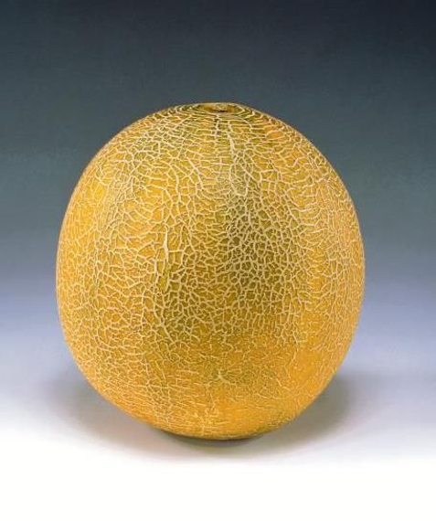 Айкидо F1 семена дыни (Sakata / Саката) – фото 2