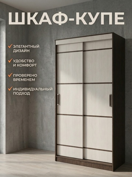 Шкаф-купе Лотос 100х220х60 см раздвижной вместительный