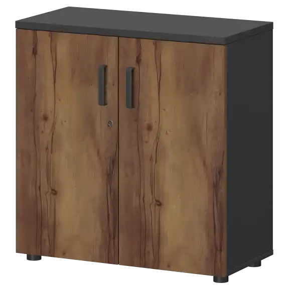 Шкаф СМШ-28Д Тип1  792x380x836 Смарт