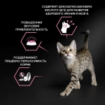 Сухой корм для котят Pro Plan Delicate при чувствительном пищеварении с индейкой 400 г