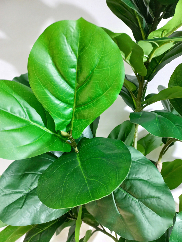 Искусственное растение разборное Фикус Лирата 180см в кашпо