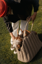 Сумка-переноска Пони бежевая