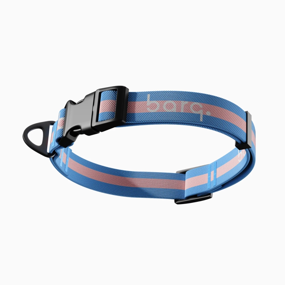 Ошейник Stripes