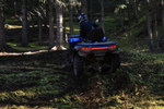 Квадроцикл Loncin Xwolf 1000