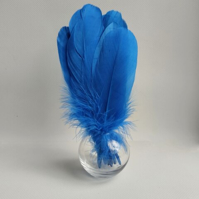 Гусиные перья лазурные ровные 20шт.