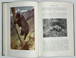 Корниш Чарльз Д. Жизнь животных. В 2-х т. В 2-х книгах. Москва. Издание Кнебель. 1909г.