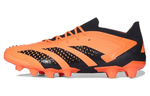 Кроссовки Adidas Predator Accuracy.1