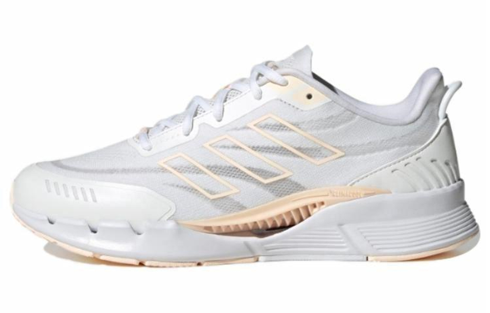 Кроссовки Adidas Climacool