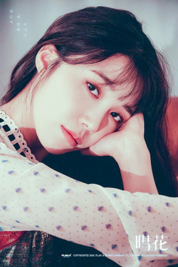 Альбом JEONG EUN JI (Apink) - Silk Flower 3rd Mini Album