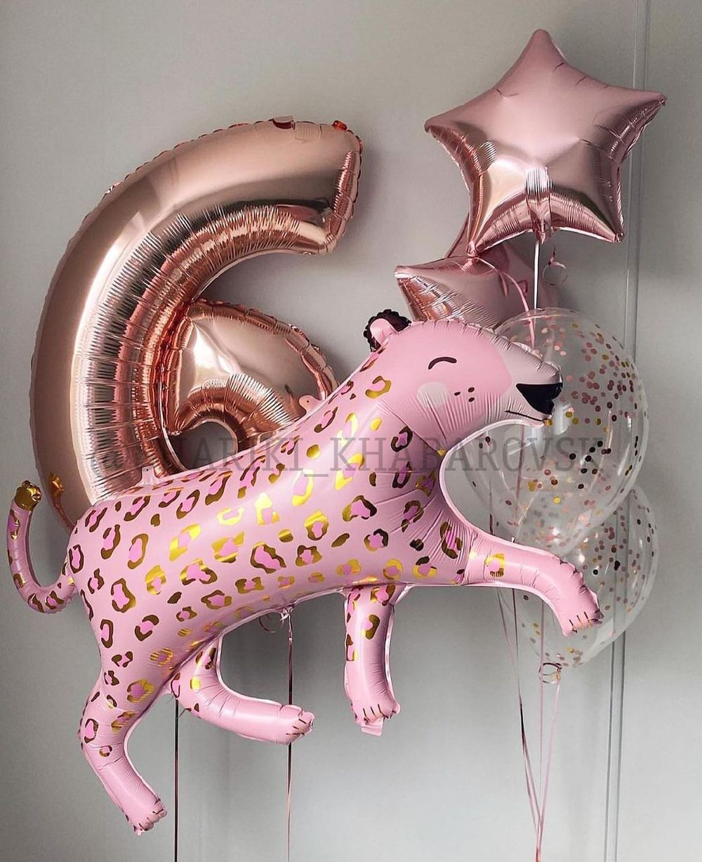 Воздушные шары №5952  Изображение4