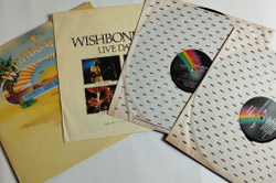 Винтажная виниловая пластинка LP Wishbone Ash Live Dates (USA 1973)