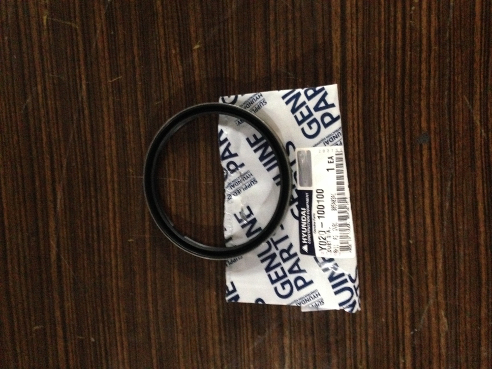 Сальник Y020-100100