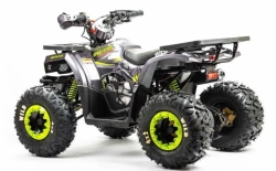 Квадроцикл Motoland 125 WILD (2020 г.)